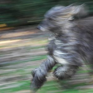 Meet your Posher, Ann